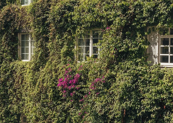 Four Seasons